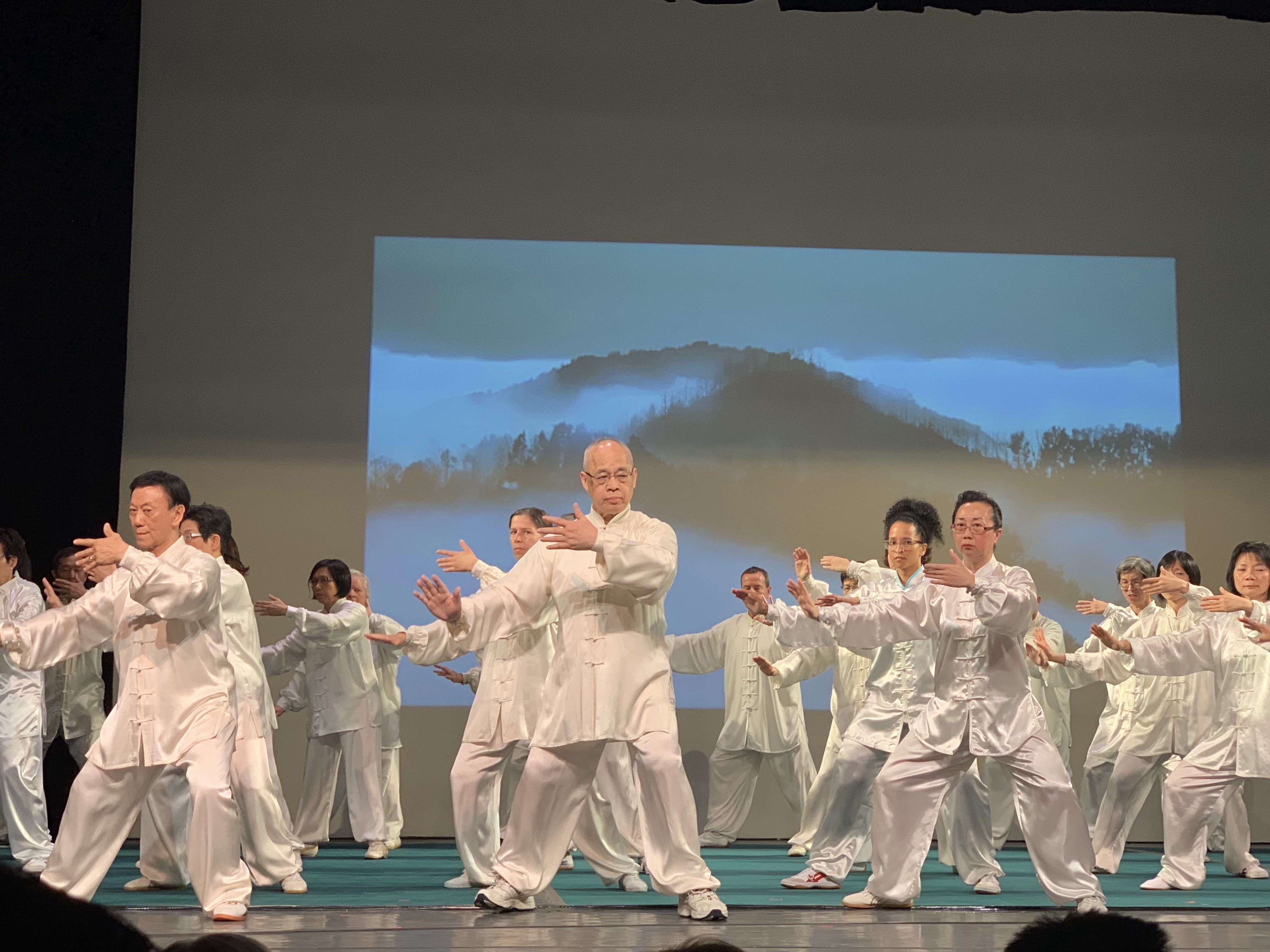 Ji Hong Wu Shu & Tai Chi College