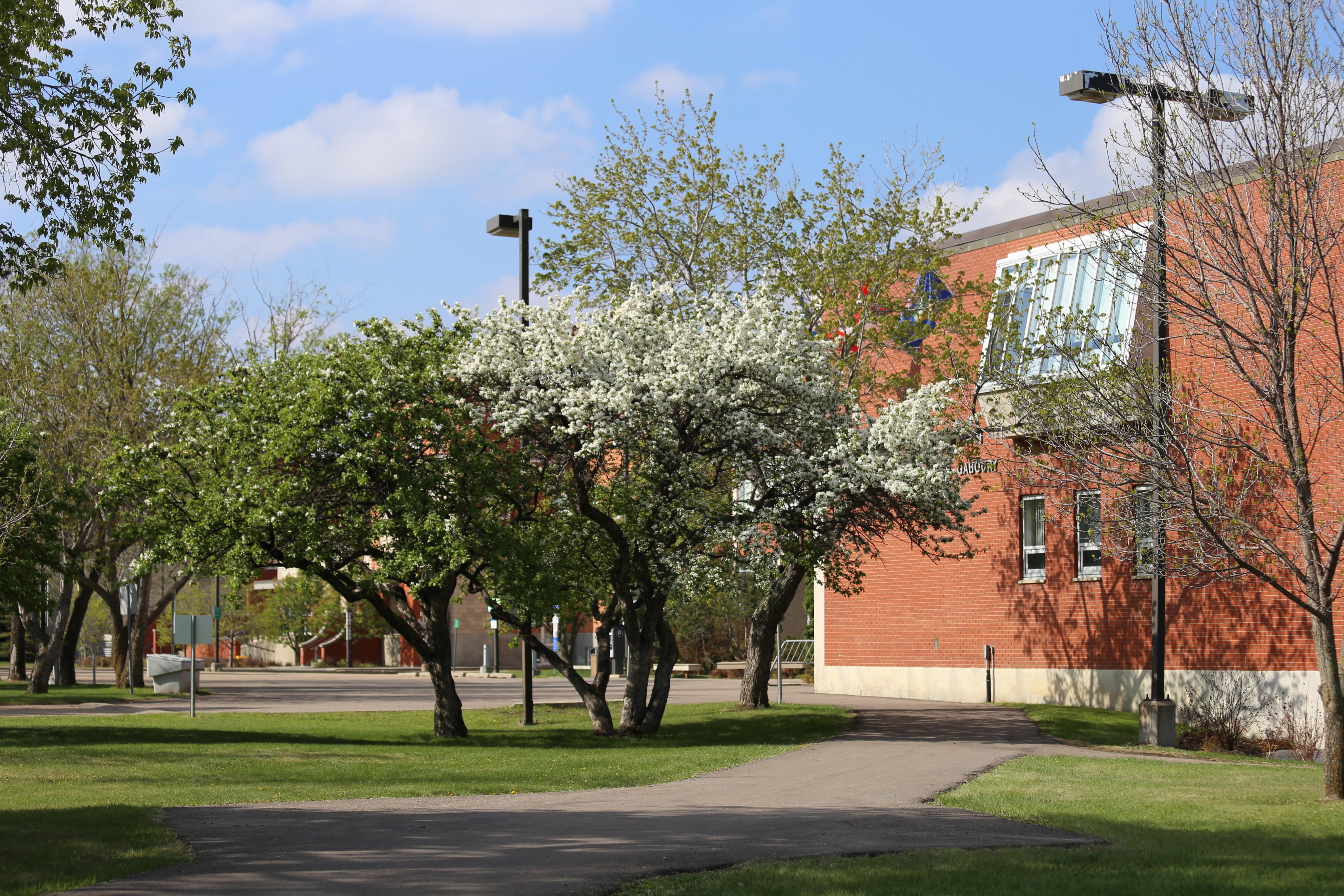 Campus Saint-Jean, University of Alberta