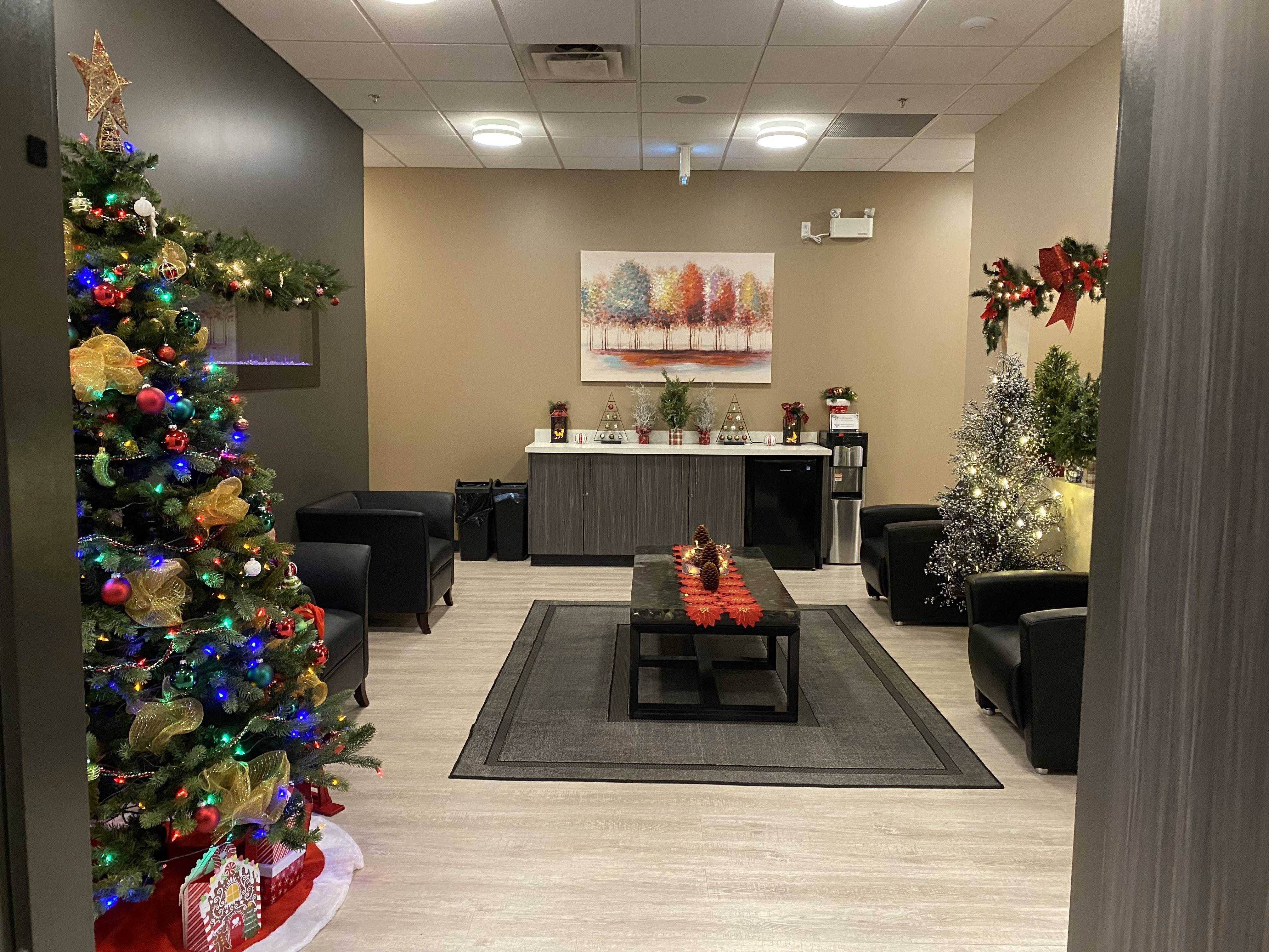 The Chiropractic Wellness Studio