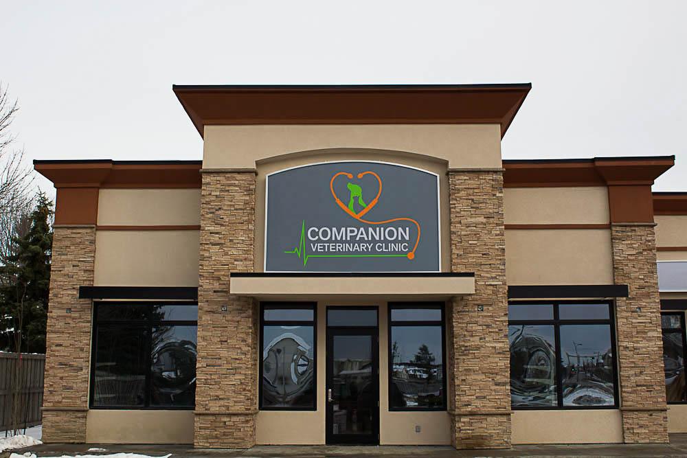 Companion Veterinary Clinic