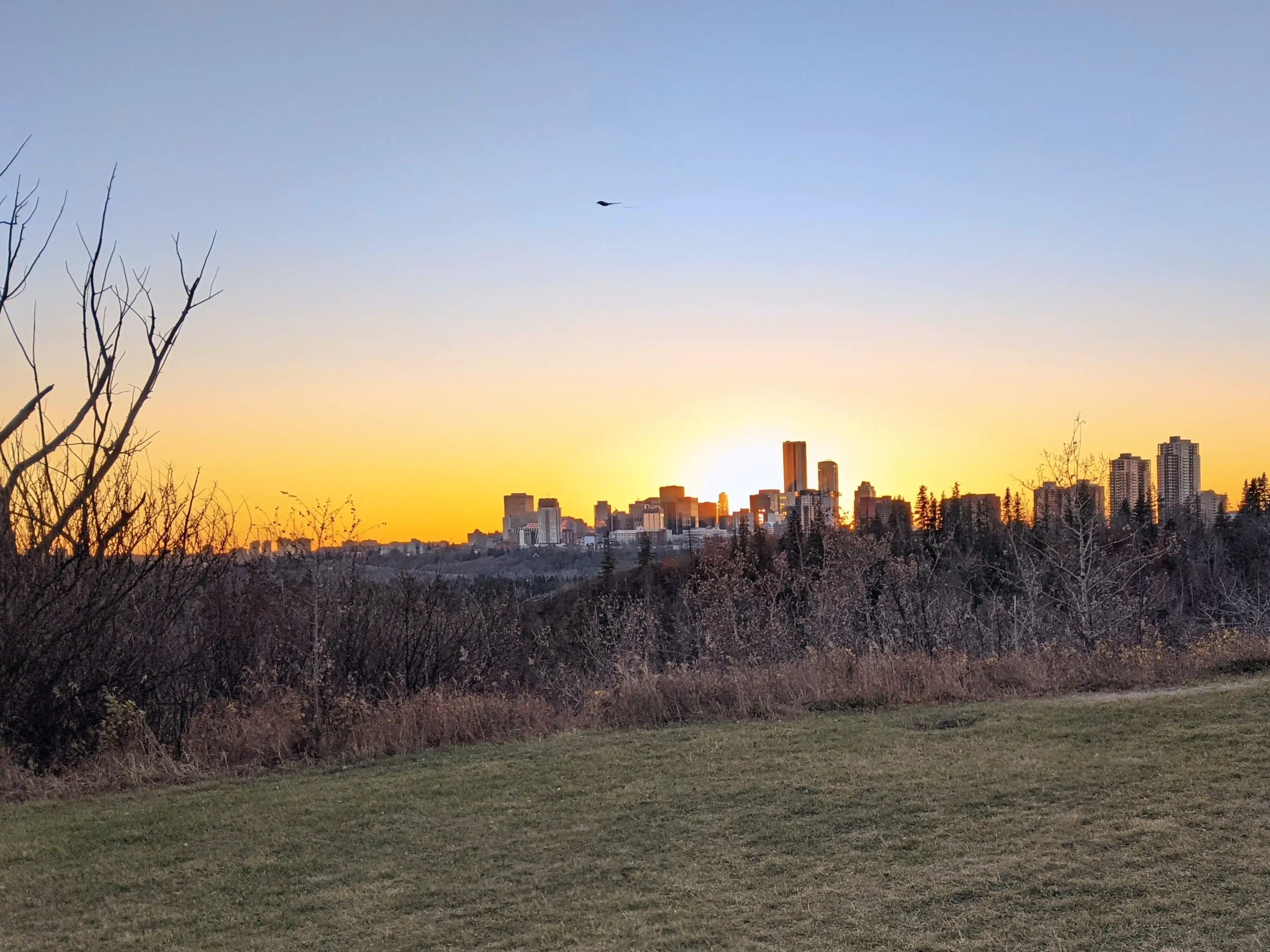 Panoramic view Edmonton (Vue panoramique Edmonton)