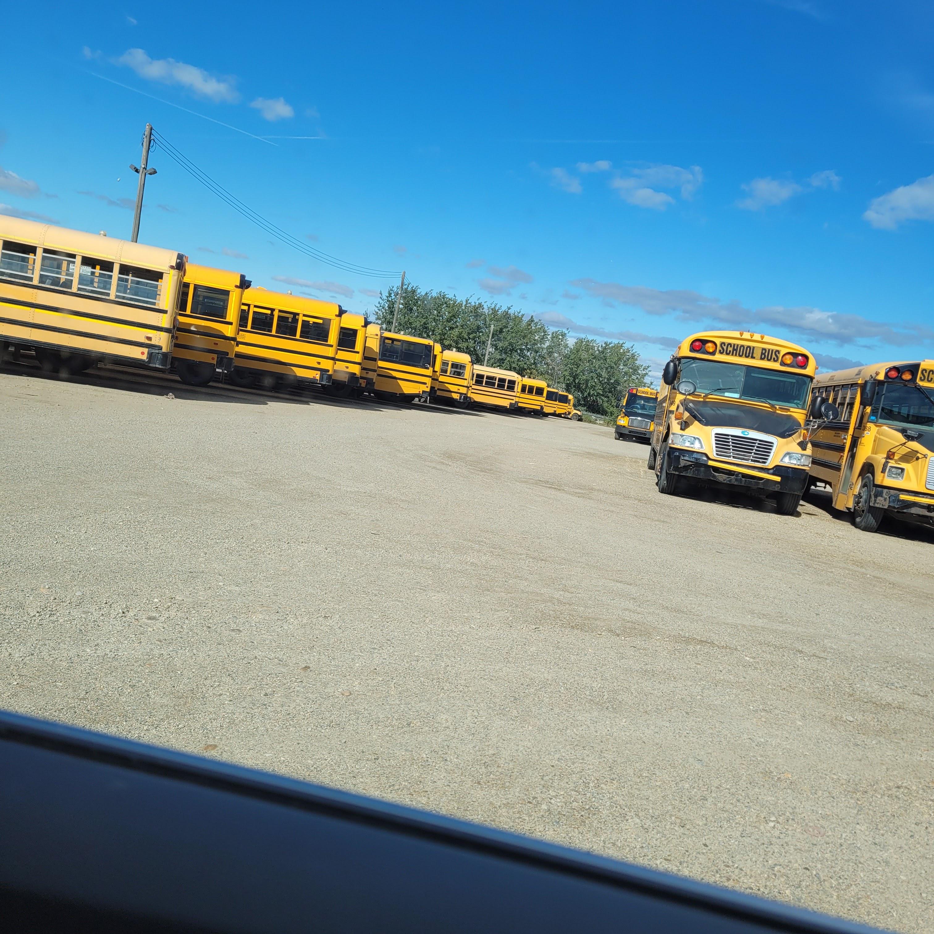 Golden Arrow Buses