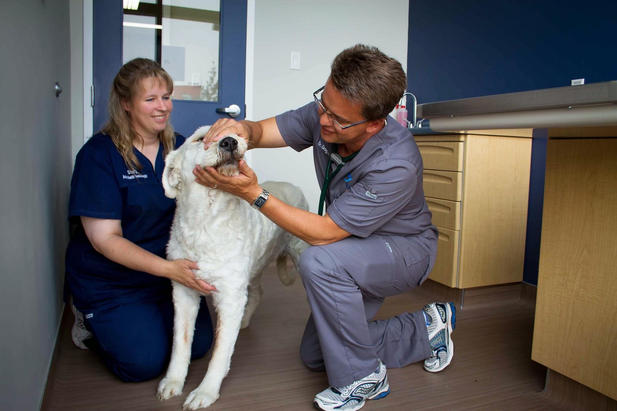 Currents Veterinary Centre