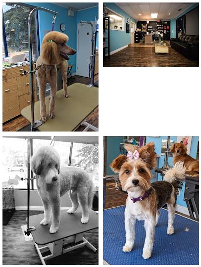 Dk's Pet Grooming Ltd