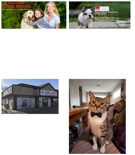 Edmonton West Animal Hospital & Spay/Neuter Centre