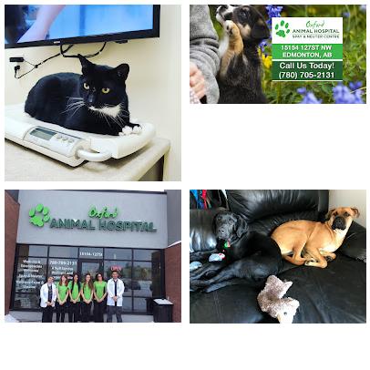 Oxford Animal Hospital