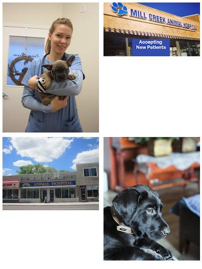 Mill Creek Animal Hospital