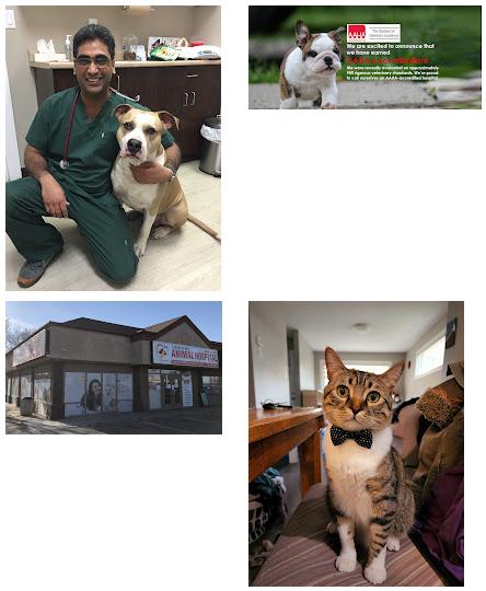 Edmonton West Animal Hospital & Spay/Neuter Centre