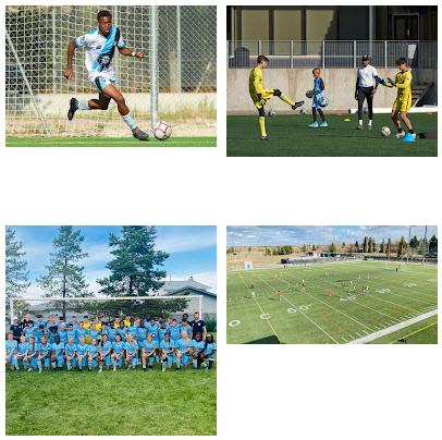 Soccer Elite Academy