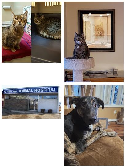 South Side Animal Hospital