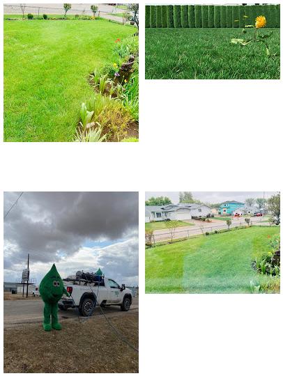 Green Drop Lawns Ltd