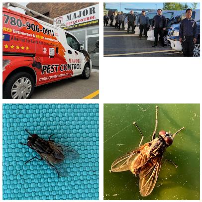 Major Pest Control Edmonton