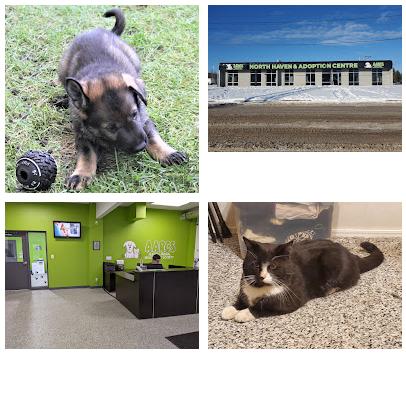 AARCS North Haven — Alberta Animal Rescue Crew Society