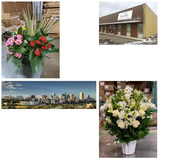 Bloomex Edmonton Flowers & Gift Baskets