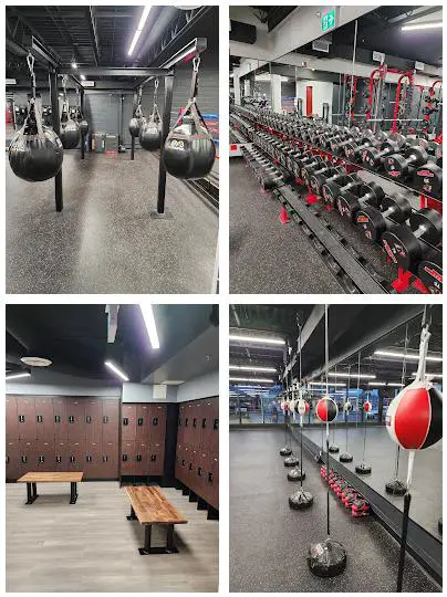 Panther Gym