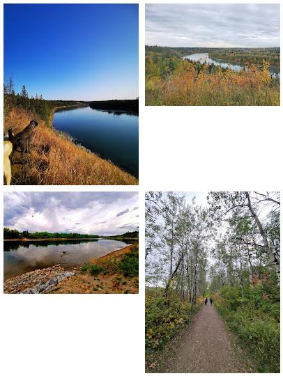 Hawrelak Trail Off Leash Site